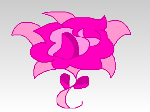 -rose-