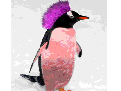 penguin w/bad hair day