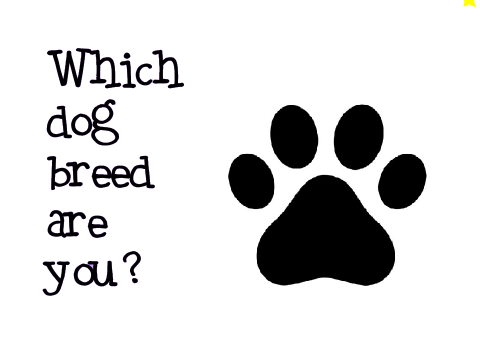 WHICH DOG BREED ARE YOU? :)