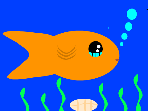 fish picture 