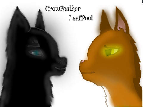 Warrior cats -LeafPool+Crowfeather- Wolf(FanArt)