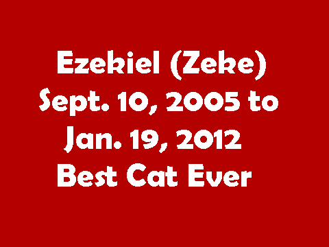 In Loving Memory