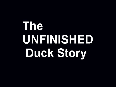 The Unfinished Duck Story(Mine)