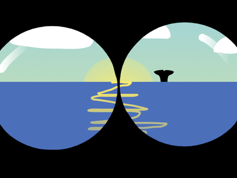 Binoculars (Parallax)