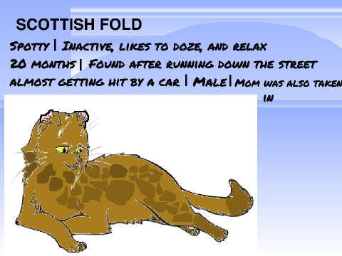 Cat Adoption (Take good care of it) Version 0.8.712.0152