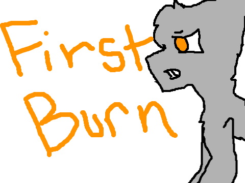 First Burn mini thing