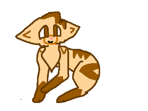 mocha [repost]