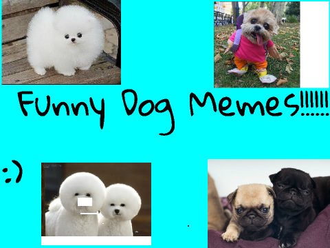 Funny Dog MEMEs!!!!!!!!!!!!!!!!!!!!!!!!!!!!!!!!!! :)