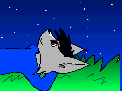 Random ANimation  o3o (OLD AND UNFINISHED)