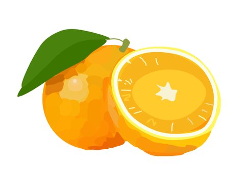 Orange Blockshade