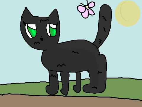 Hollypaw...