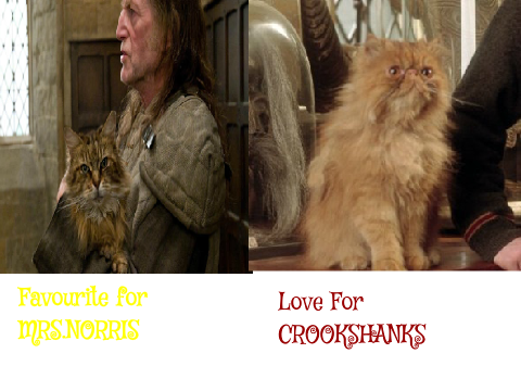 Mrs.Norris vs Crookshanks