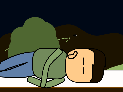 What Happened to me in the summer camp E.2 S.1