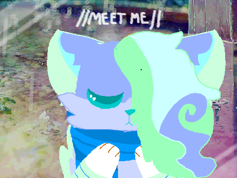 || meet me || 