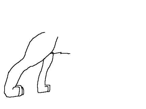 Animal leg (Testish)