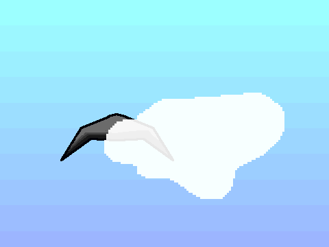 Flight Simulation