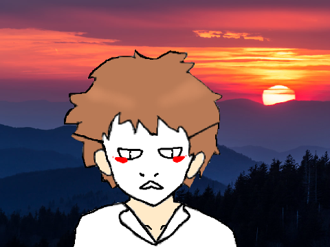 ~Sunset Lover Meme~