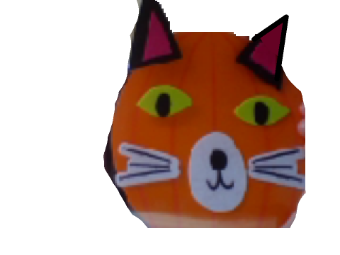 Fixed Picture
