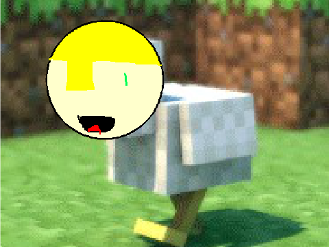 The Boybobka chicken XD