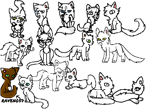 ADD YOURSELF AS A WARRIORCAT! remix