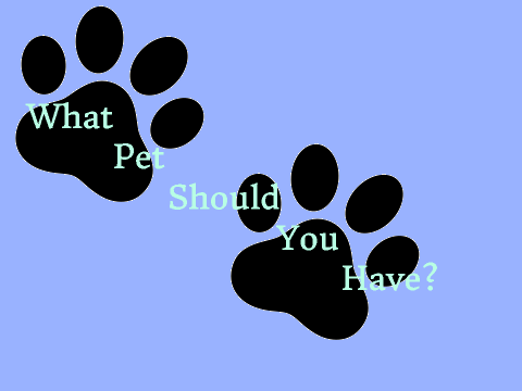 What Pet Should You Have?
