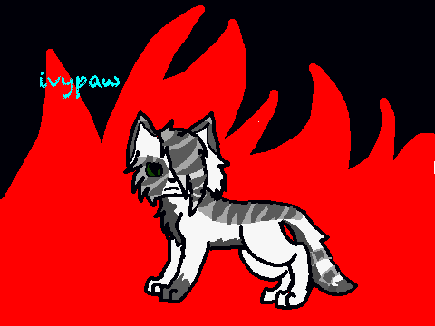 ivypaw
