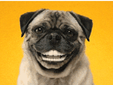 SMILE!