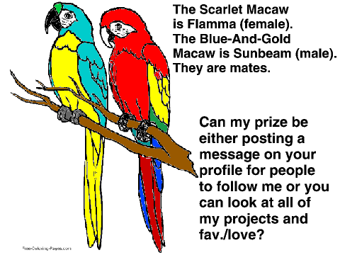 Bird Coloring Competition