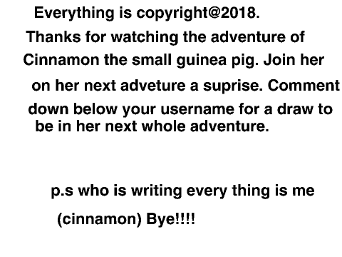 wild adventures of cinnamon