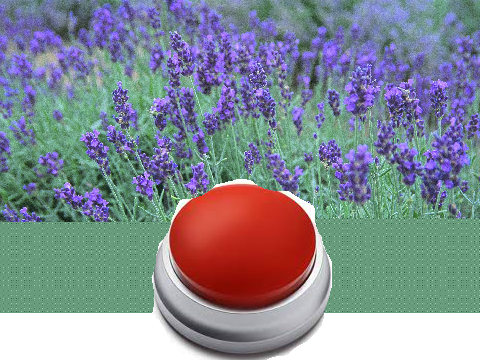 lets go to lavender town