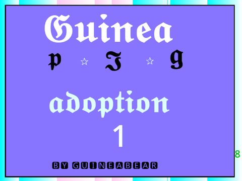 guinea pig adoption! 1