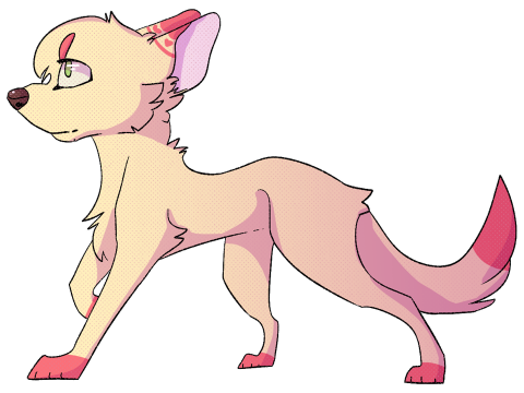 = Payment 2/2 =