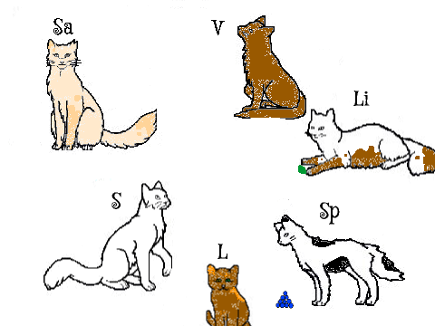 Cherryclan cats