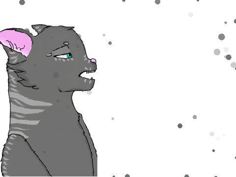 Warrior Cat Fan Art(SilverStream)