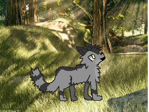 Count on me| Warrior cat map *OPEN* Part 13