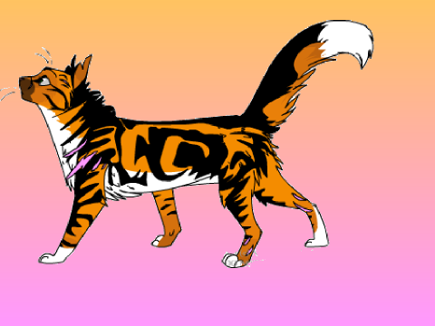 Flamefeather-A warrior cat short story
