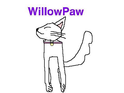 WillowPaw Cat