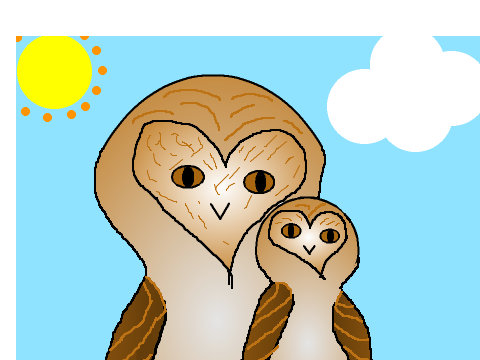 Owls