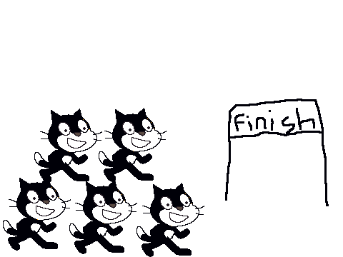 The Black Cat Race
