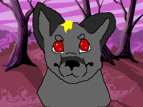 random animation