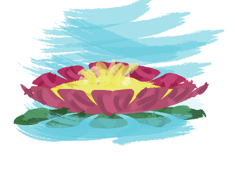 Illustrator Water Lily