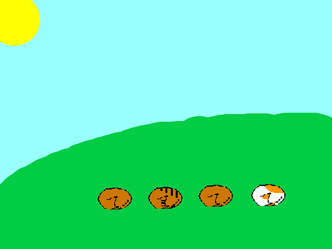 Warrior Cat Litter 