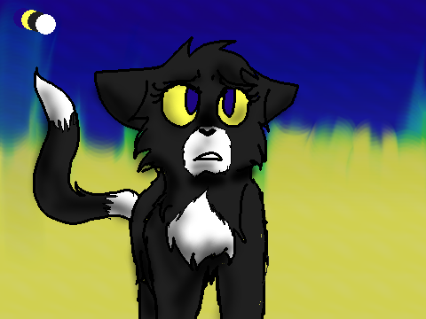 Adoptable Entry-Skunk