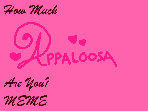 How Much Appaloosa Are You REMIX!