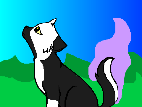 CC Contest Entry