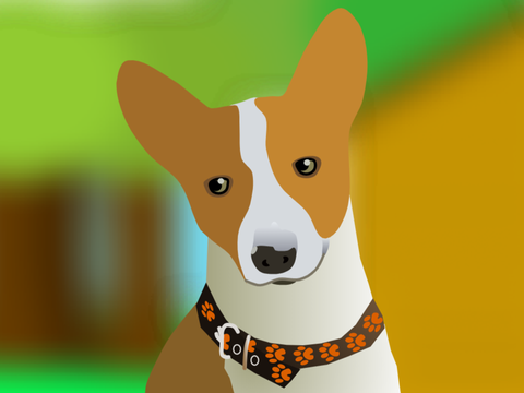 My Profile Picture