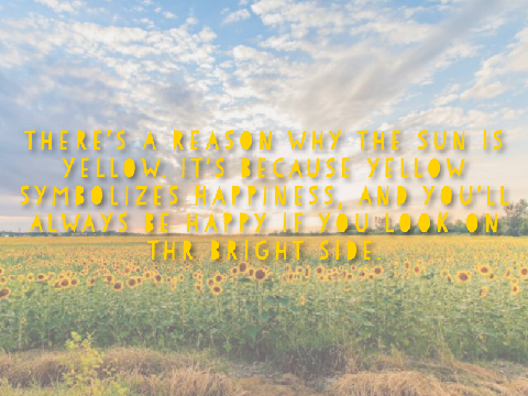 sunshine and inspiration #06