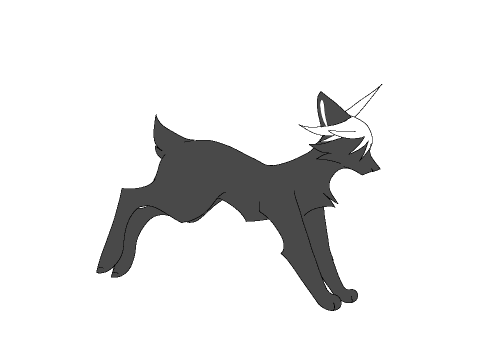 Cat(??) Run Cycle
