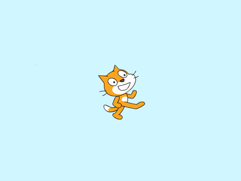 cat travel
