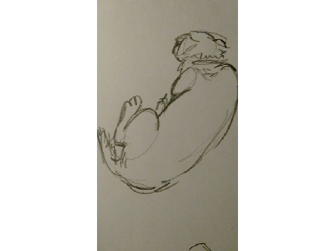 artsdump9